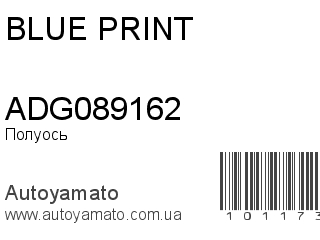 ADG089162 (BLUE PRINT)